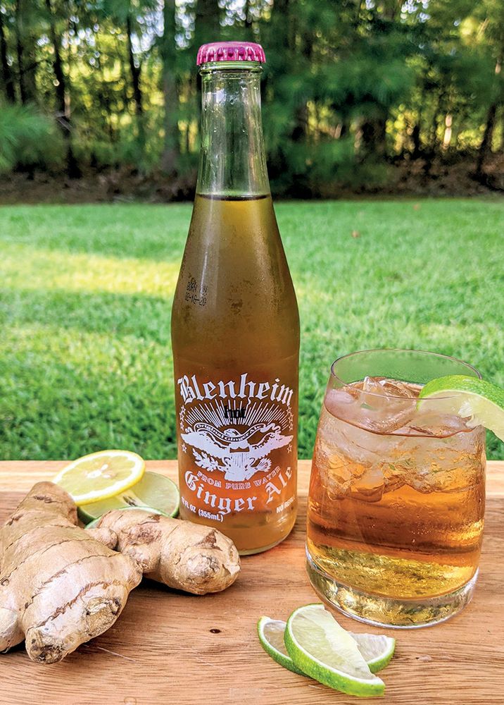 To make Ginger Beer from Taste the State Signature Foods of South