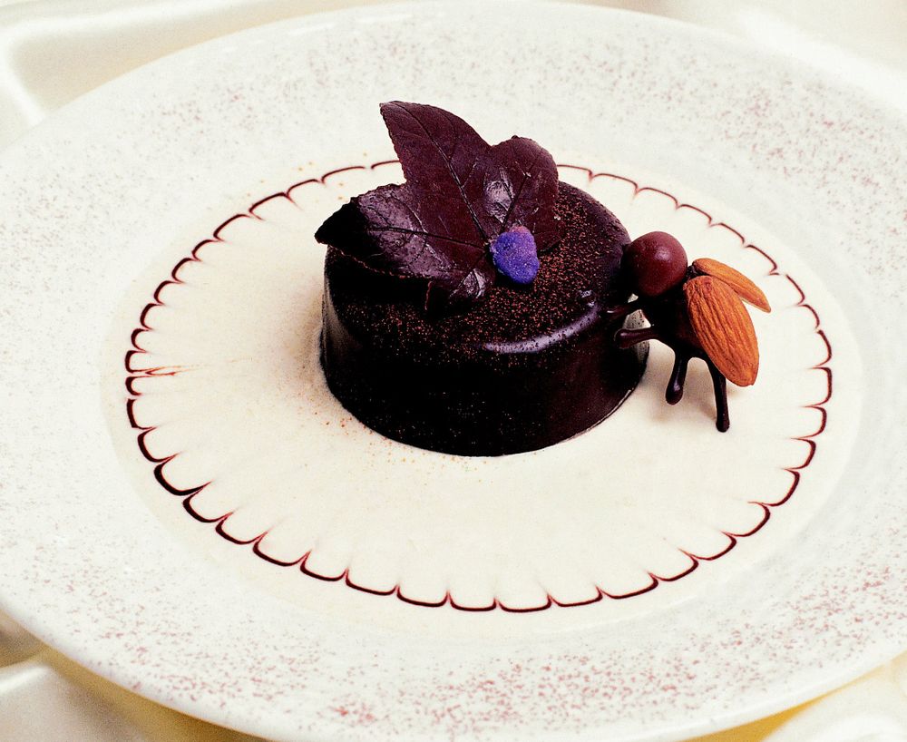 Chocolate Rum Pudding with Chocolate May Beetles from The Advanced