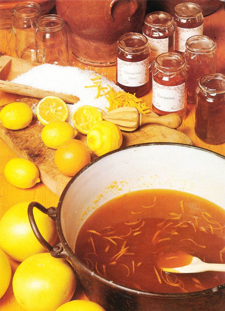 Lemon Syrup from The Complete Book of Home Preserving by Mary Norwak