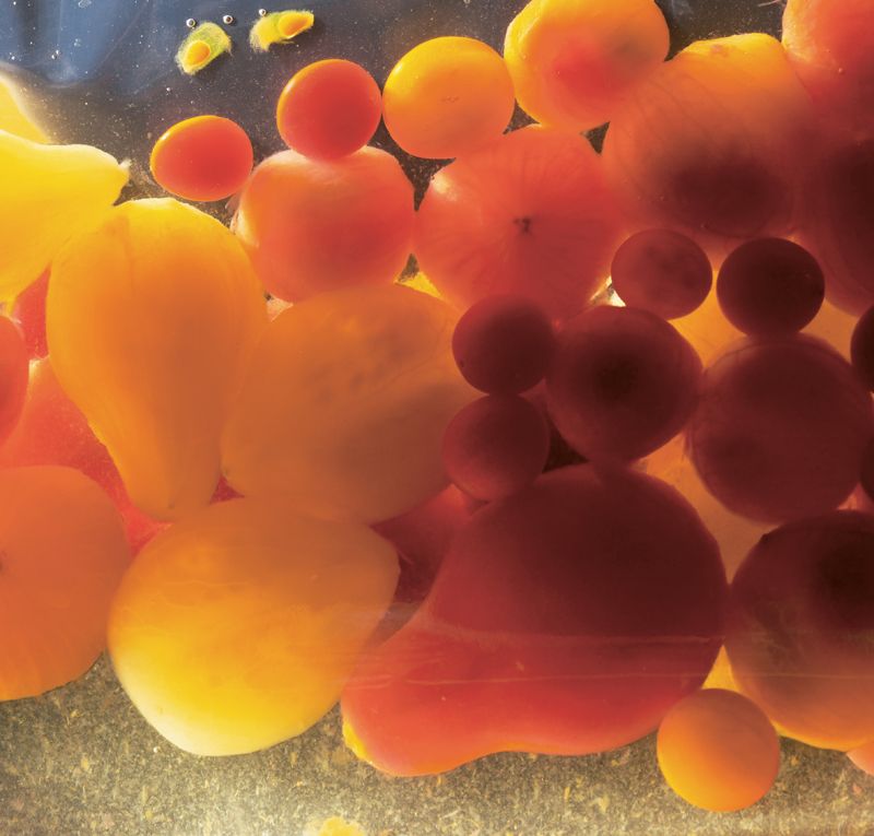 Marinated Toy Box Tomatoes with Compressed Cucumber Red Onion Relish