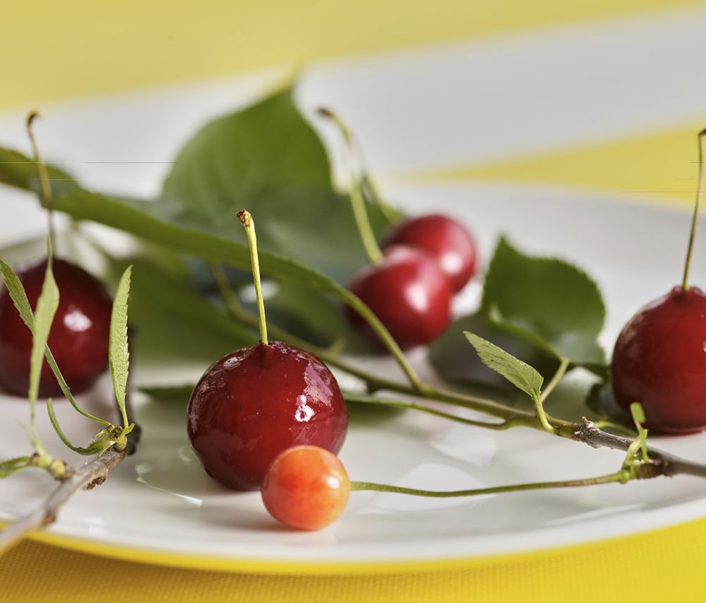 Cherry Duck Pate from Recipes from Ukraine by Yurii Pryiemskyi