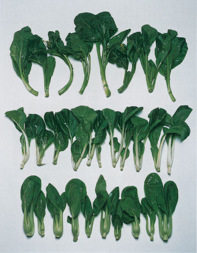 Bok Choy, Pak Choi and relatives from Vegetables from Amaranth to